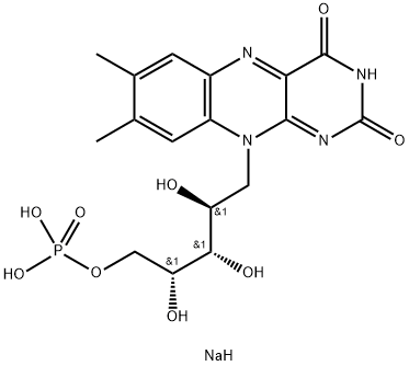 	Riboflavin 5'-Monophosphate Sodium Salt