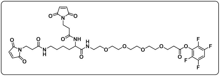 Bis-Mal-Lysine-PEG4-TFP ester