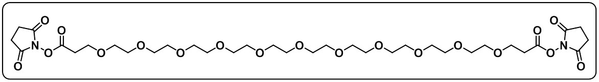 Bis-PEG11-NHS ester