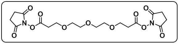 Bis-PEG3-NHS ester