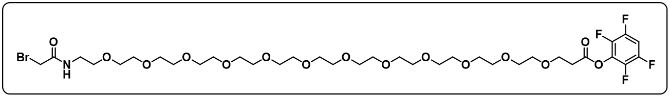 BrCH2CONH-PEG12-TFP ester