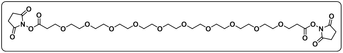 Bis-PEG10-NHS ester