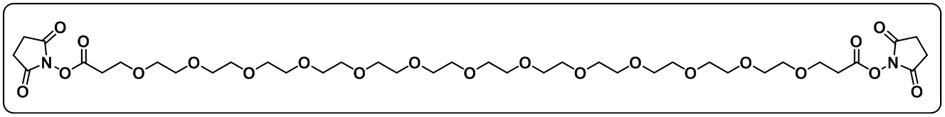 Bis-PEG13-NHS ester