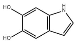 5,6-DIHYDROXYINDOLE