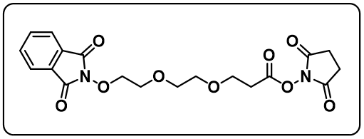 NHPI-PEG2-C2-NHS ester