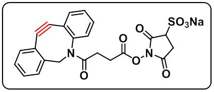 Sulfo-DBCO-NHS ester