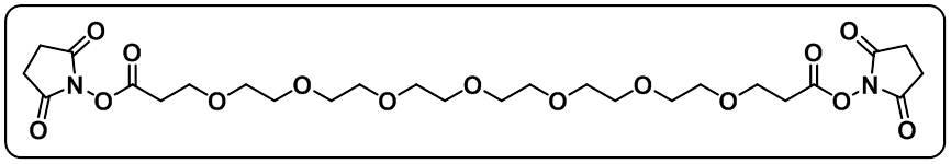 Bis-PEG7-NHS ester