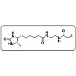 Desthiobiotin-Iodoacetamide