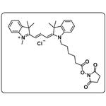 Cyanine3 NHS ester