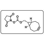 exo-BCN-NHS ester