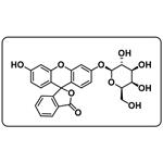 Fluorescein β-D-galactopyranoside