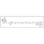 Biotin-PEG6-PFP