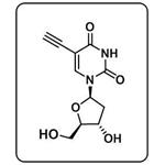 5-Ethynyl-2'-deoxyuridine