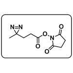 Me-Diazirine-NHS ester