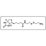 Biotinyl Cystamine