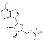 	Adenosine 5'-monophosphate