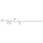 	1-MYRISTOYL-SN-GLYCERO-3-PHOSPHOCHOLINE