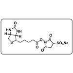 Biotin-Sulfo-NHS ester pictures