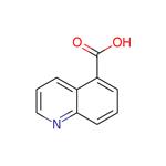 Quinoline-5-carboxylic acid