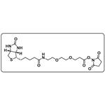 Biotin-PEG2-NHS ester