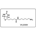 1H-Thieno[3,4-d]imidazole-4-pentanamide；N-(6-aminohexyl)hexahydro-2-oxo-；2,2,2-trifluoroacetate (1:1)