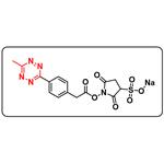 Methyltetrazine-Sulfo-NHS ester