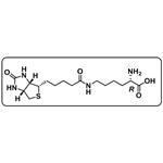 Biotin-D-Lysine