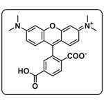 6-Carboxytetramethylrhodamine pictures