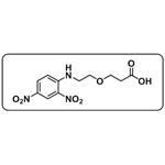 DNP-PEG1-COOH