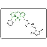 BDP R6G maleimide