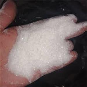 Procaine