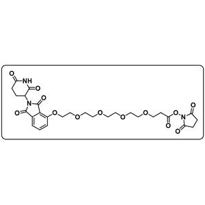 Thalidomide-O-PEG4-NHS ester