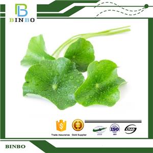 Centella asiatica extract