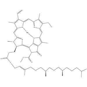 	Chlorophyll A