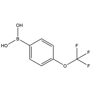 4-Trifluoromethoxyphenylboronic acid