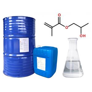 2-Hydroxypropyl methacrylate