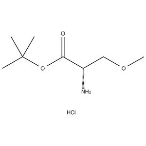 L-Ser(me)-otbu.Hcl