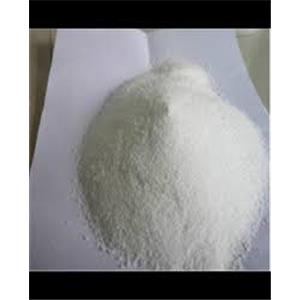 Ampicillin sodium