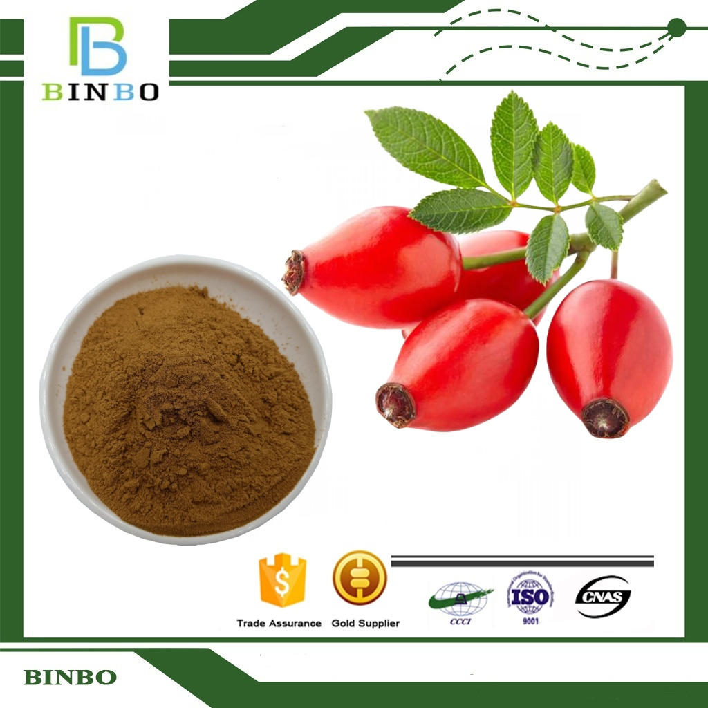 Rosehip Extract