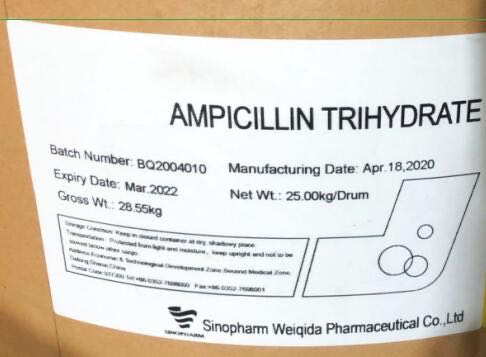 Ampicillin