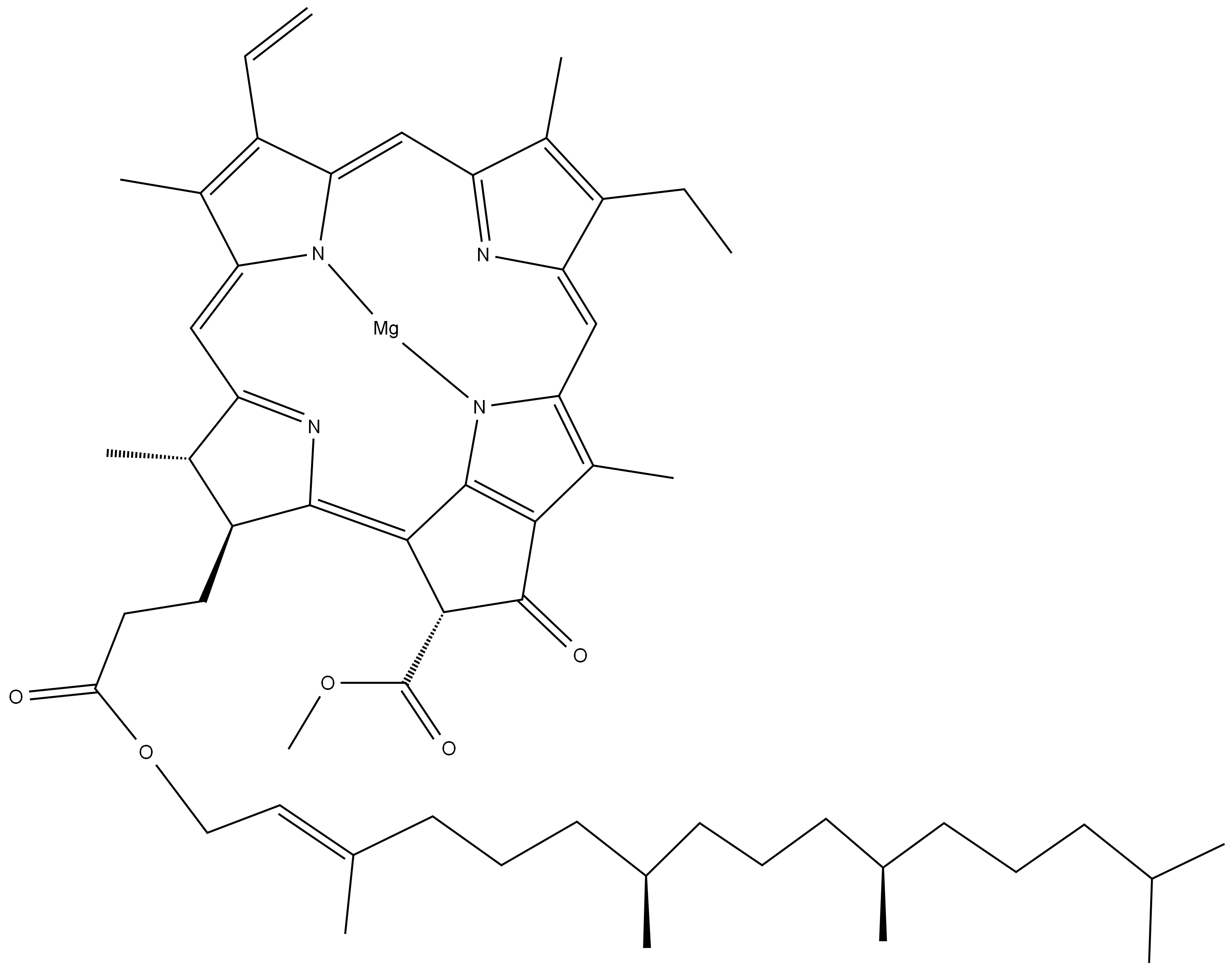 	Chlorophyll A