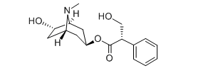 Anisodamine