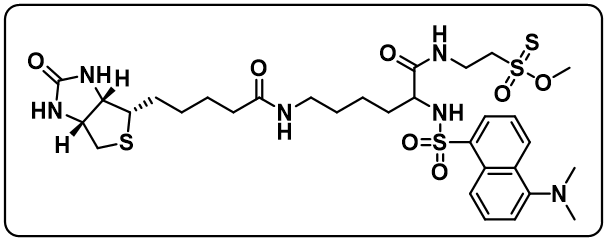 MTS-DB [(N-Dansyl)biocytinamidoethyl methanethiosulfonate]