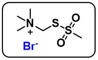 MTSMT [(Trimethylammonium)methyl methanethiosulfonate bromide]