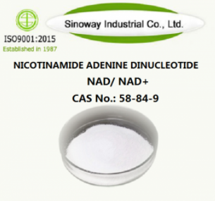 Nicotinamide Adenine Dinucleotide