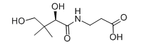 D-PANTOTHENIC ACID