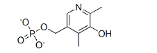 Vitamin B6