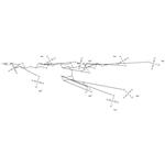 Pentosan Polysulfate Sodium pictures