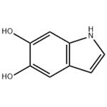 5,6-DIHYDROXYINDOLE