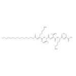 Palmitoyl Pentapeptide